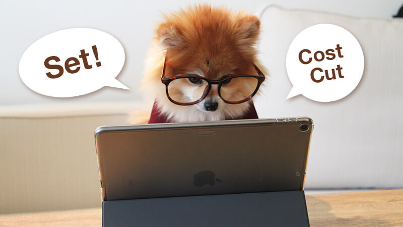 PCを見ながら「一式で!低コストで!」とつぶやく子犬